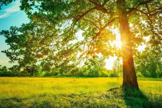 عکسی مربوط به هوای بهاری هواشناسی گرگان