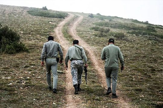 محیط بان گلستانی کاظم مصدق