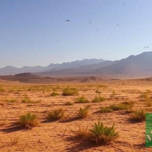 مربوط به هواشناسی گرگان و هواشناسی استان گلستان در تاریخ 28 تیر 1404